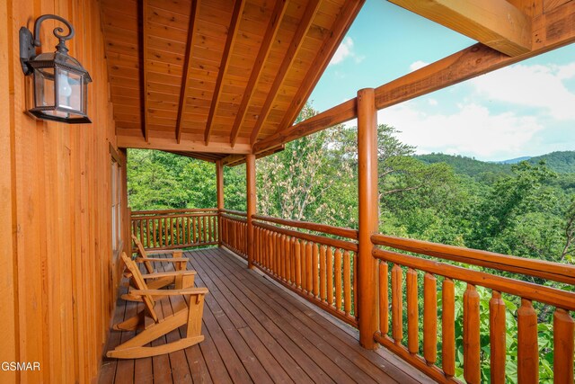 1643 Barn Door Ln, Sevierville, TN 37862 - photo 53