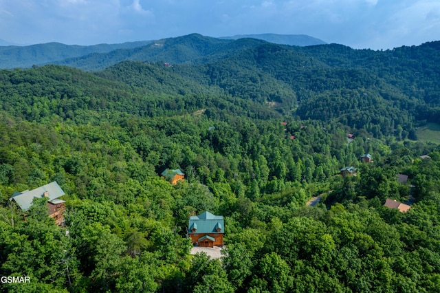 1643 Barn Door Ln, Sevierville, TN 37862 - photo 58