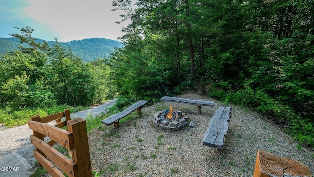 1643 Barn Door Ln, Sevierville, TN 37862 - photo 52