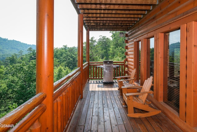 1643 Barn Door Ln, Sevierville, TN 37862 - photo 54