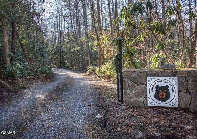 125 Cricket Hollow Way, Cosby, TN 37722 - view of dirt / gravel road with a view of trees