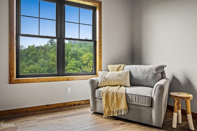 living area with light hardwood / wood-style floors