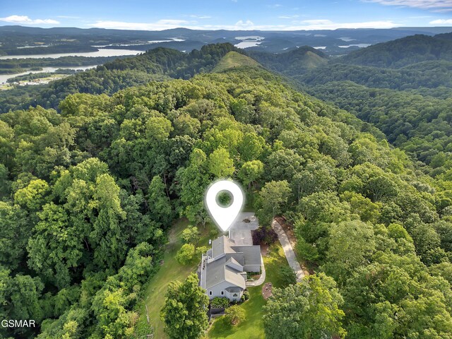 496 Proffitt Ridge Rd, Mooresburg, TN 37811 - photo 60