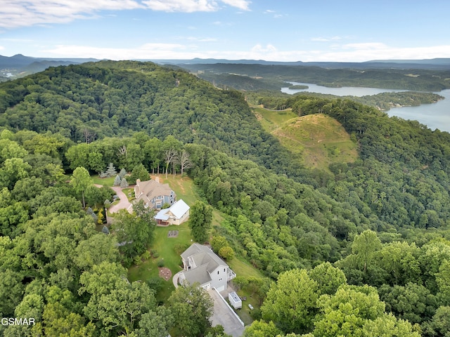 496 Proffitt Ridge Rd, Mooresburg, TN 37811 - photo 56