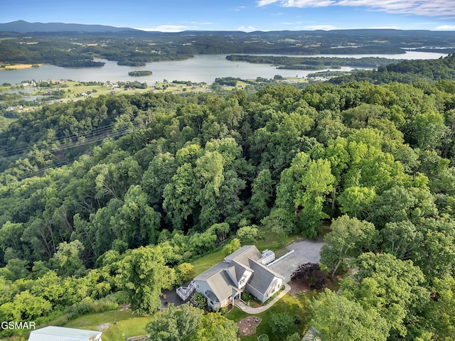 496 Proffitt Ridge Rd, Mooresburg, TN 37811 - photo 49