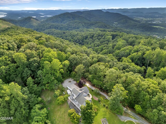 496 Proffitt Ridge Rd, Mooresburg, TN 37811 - photo 51