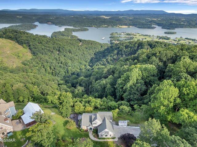 496 Proffitt Ridge Rd, Mooresburg, TN 37811 - photo 48