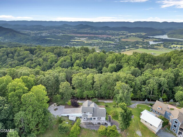 496 Proffitt Ridge Rd, Mooresburg, TN 37811 - photo 53