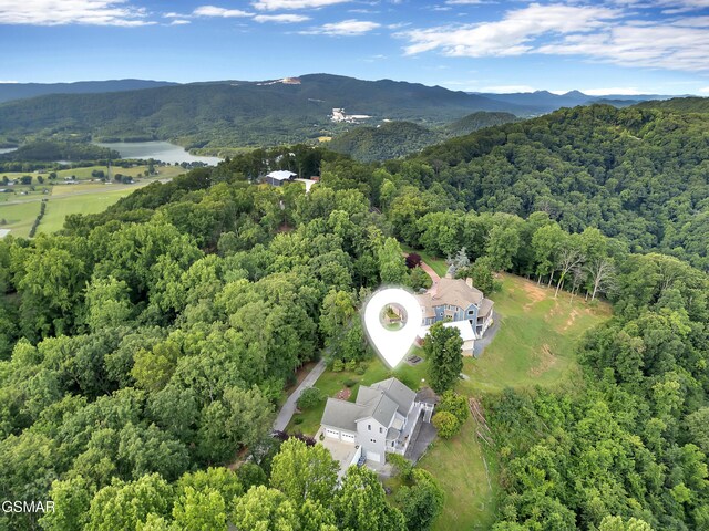 496 Proffitt Ridge Rd, Mooresburg, TN 37811 - photo 65