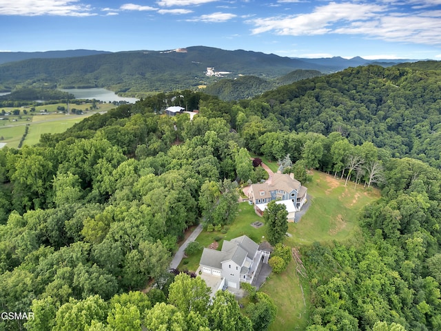 496 Proffitt Ridge Rd, Mooresburg, TN 37811 - photo 55