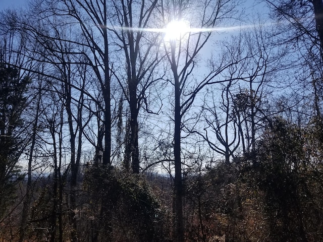 LOT11 Walk In The Trees Dr, New Market TN, 37820 land for sale