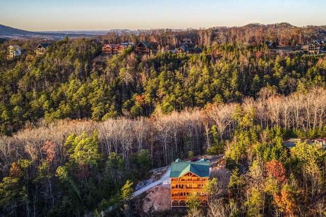 birds eye view of property with a mountain view