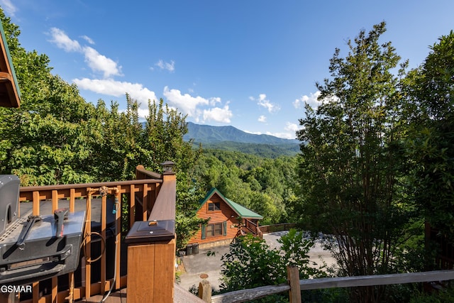 960 High Mountain Way, Gatlinburg, TN 37738 - photo 20