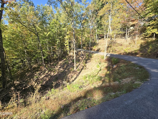 Listing photo 3 for LOT6 Scenic Trl, Gatlinburg TN 37738