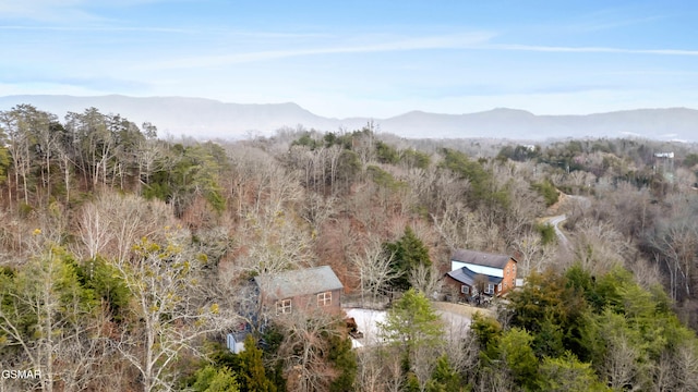 bird's eye view with a mountain view