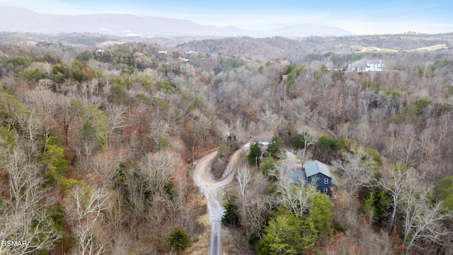 drone / aerial view with a mountain view