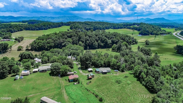 210 Dwayne Rd, Parrottsville, TN 37843 - photo 42