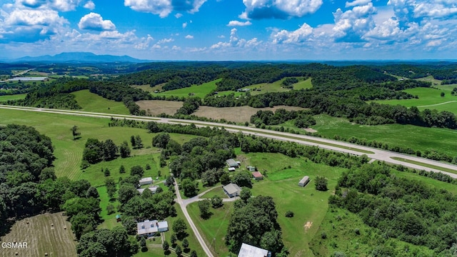 210 Dwayne Rd, Parrottsville, TN 37843 - photo 49