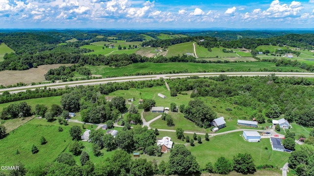 210 Dwayne Rd, Parrottsville, TN 37843 - photo 48