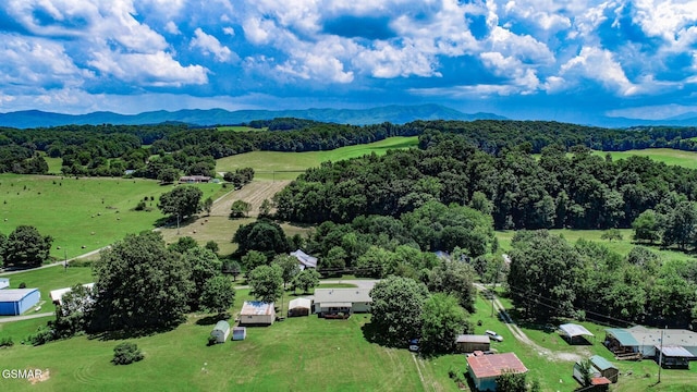 210 Dwayne Rd, Parrottsville, TN 37843 - photo 45