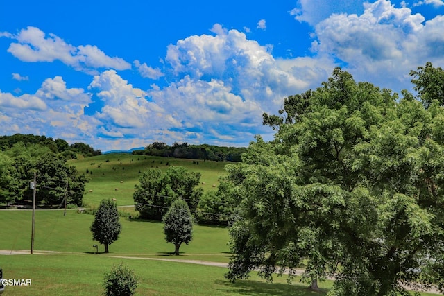 210 Dwayne Rd, Parrottsville, TN 37843 - photo 52
