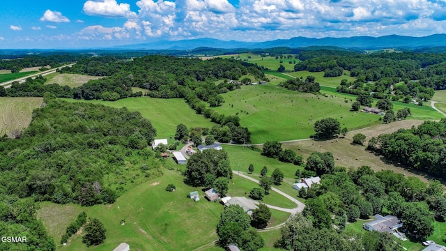 210 Dwayne Rd, Parrottsville, TN 37843 - photo 46