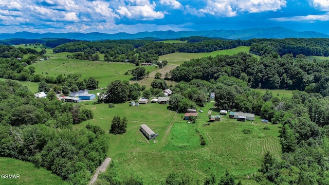 210 Dwayne Rd, Parrottsville, TN 37843 - photo 43