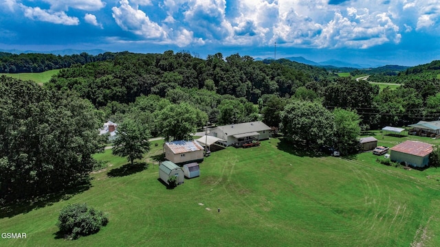 210 Dwayne Rd, Parrottsville, TN 37843 - photo 41