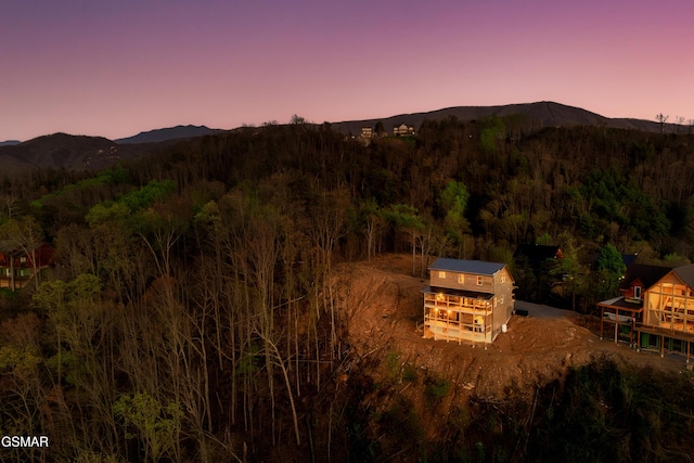 2256 Lone Ridge Dr, Sevierville, TN 37862 - photo 81