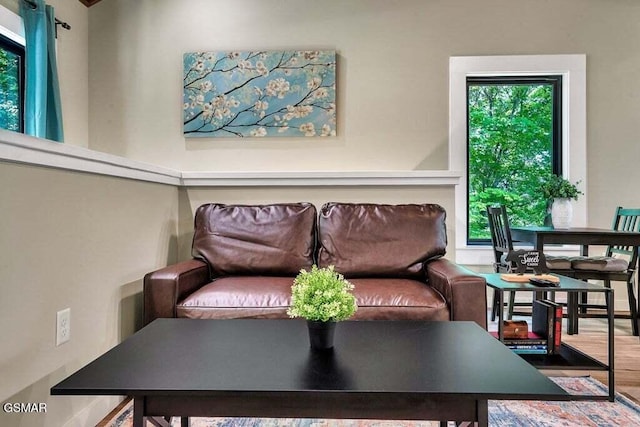 living room with a wealth of natural light and hardwood / wood-style flooring