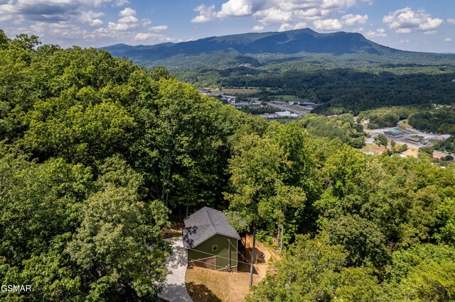 drone / aerial view featuring a mountain view