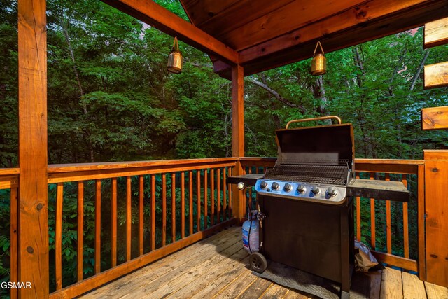 1951 Smoky Cove Rd, Sevierville, TN 37862 - photo 52