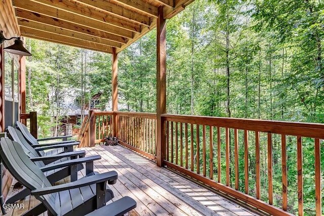 1951 Smoky Cove Rd, Sevierville, TN 37862 - photo 43