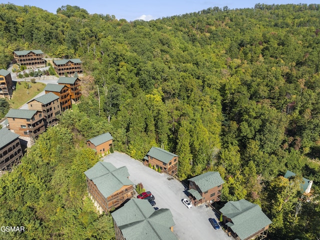 889 Great Smoky Way, Gatlinburg, TN 37738 - photo 27