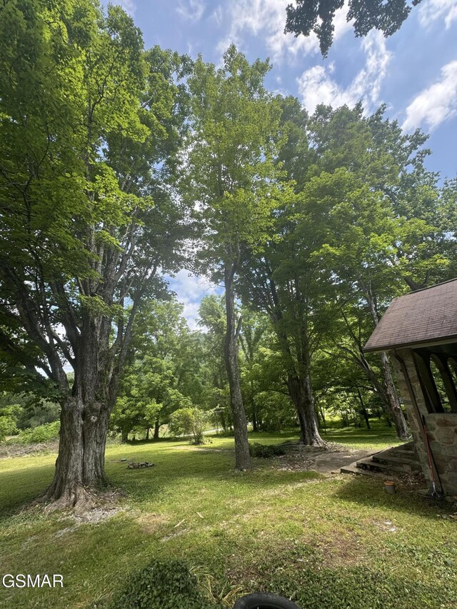 3528 Sugar Camp Cir, Sevierville, TN 37862 - photo 20