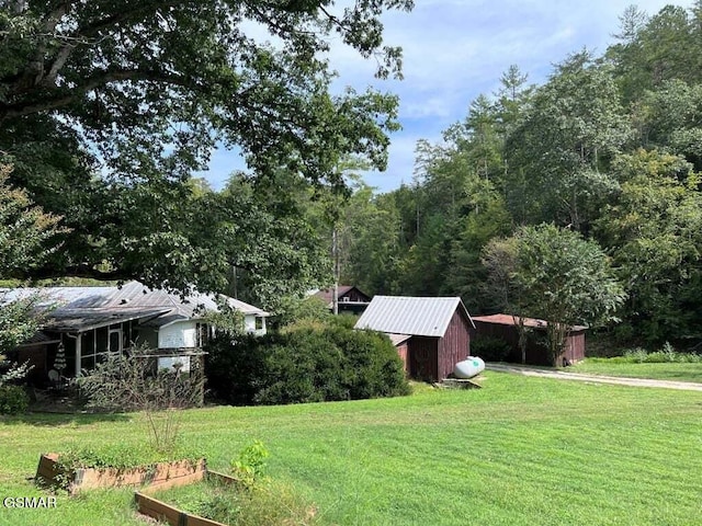 view of yard featuring a shed