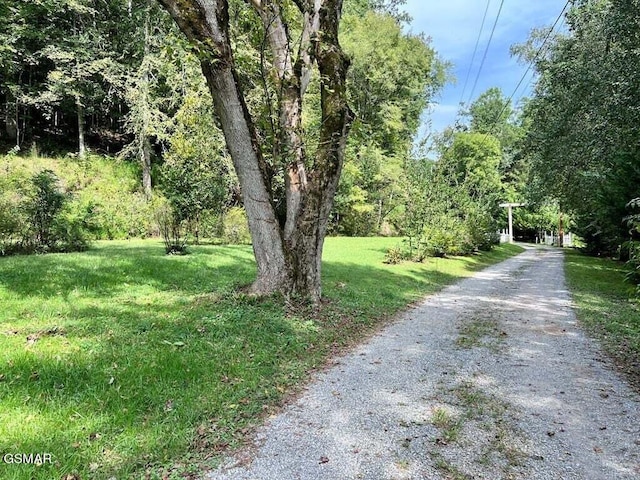 view of road