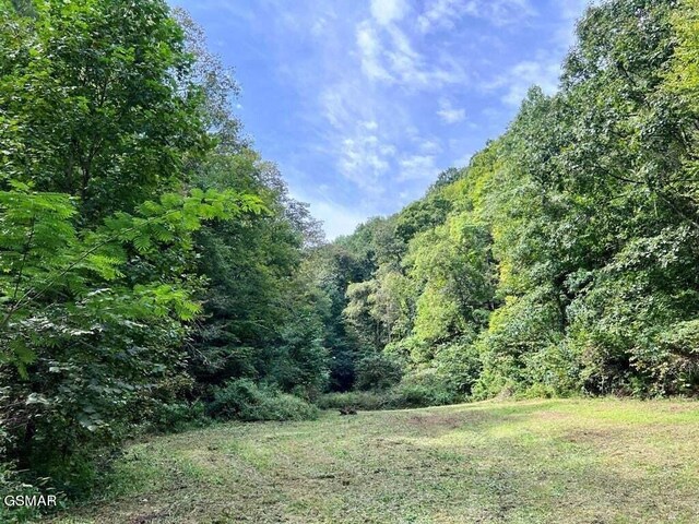 view of local wilderness