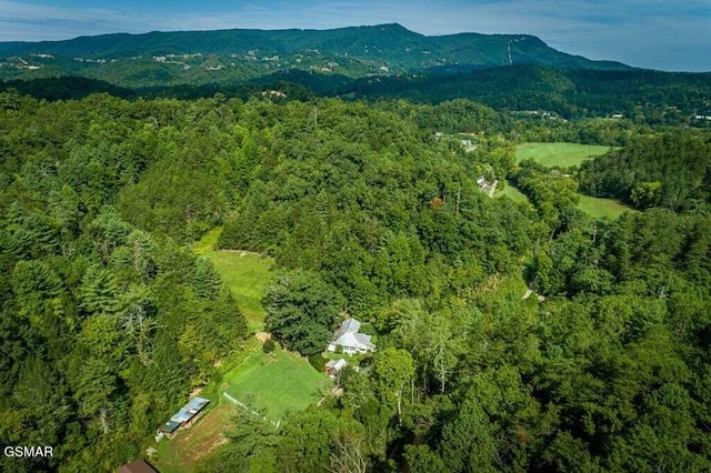 drone / aerial view featuring a mountain view