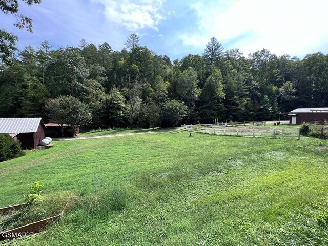 view of yard featuring a rural view