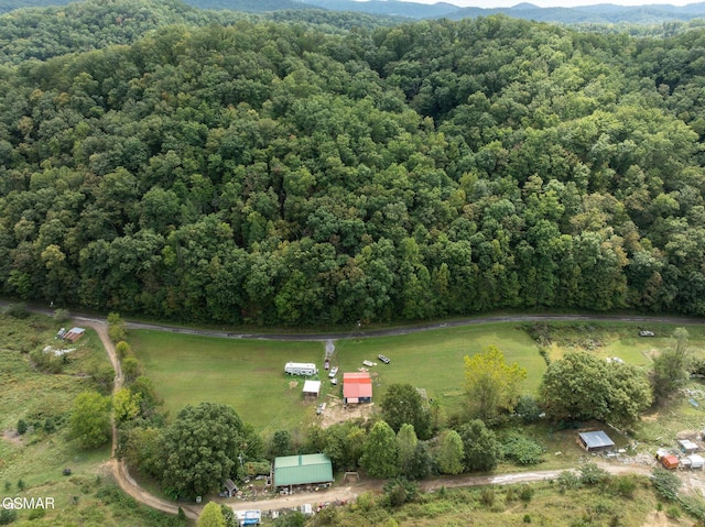 aerial view