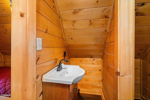 bathroom with wooden walls and vanity