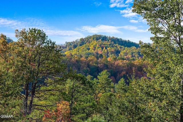 view of mountain feature featuring a forest view