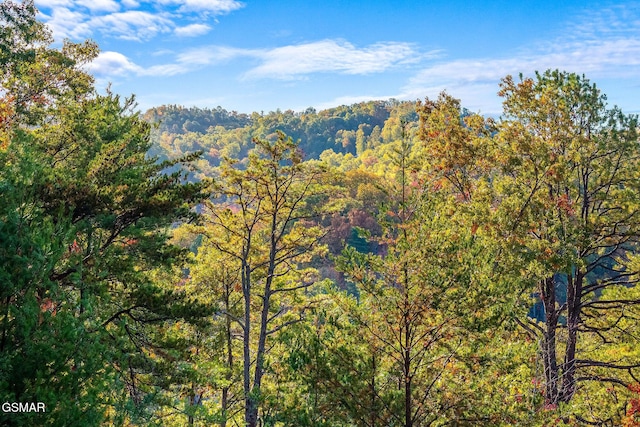 mountain view with a wooded view