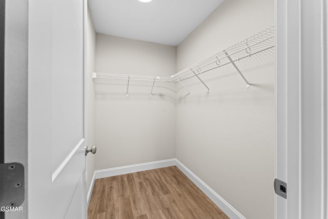 walk in closet with wood finished floors