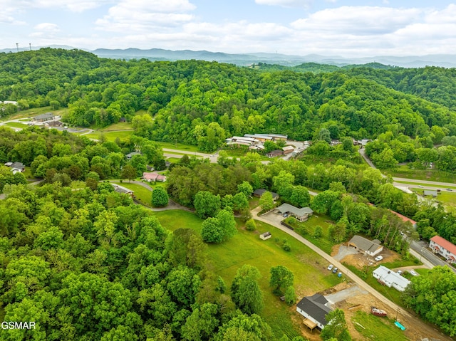 aerial view of a forest and mountains