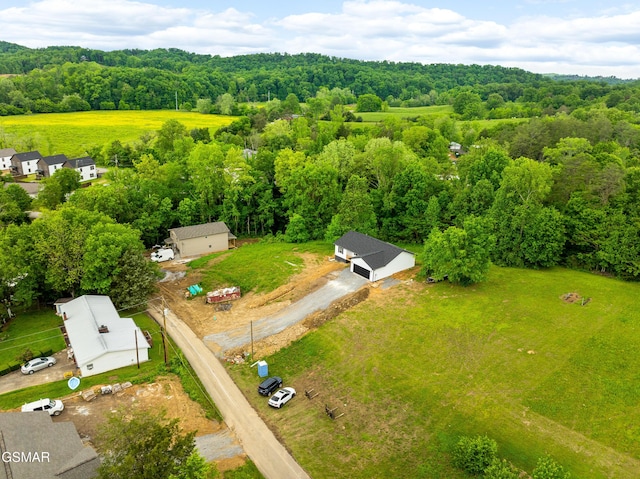 aerial view of a forest