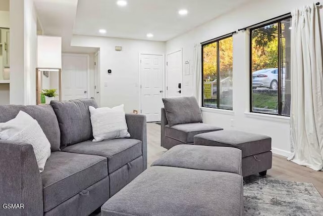 living room with light hardwood / wood-style floors