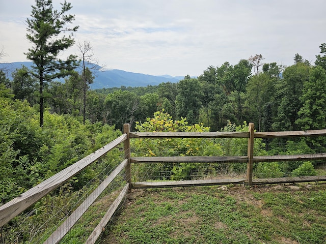 2729 Hatcher Mountain Rd, Sevierville, TN 37862 - photo 12