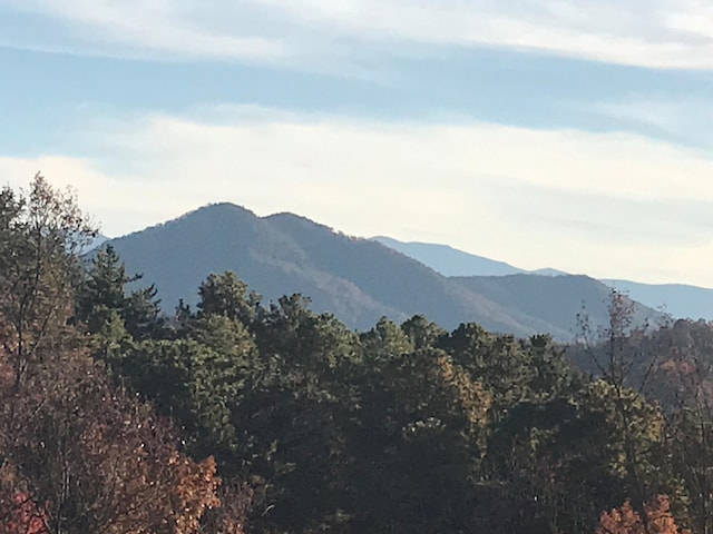 2729 Hatcher Mountain Rd, Sevierville, TN 37862 - photo 5
